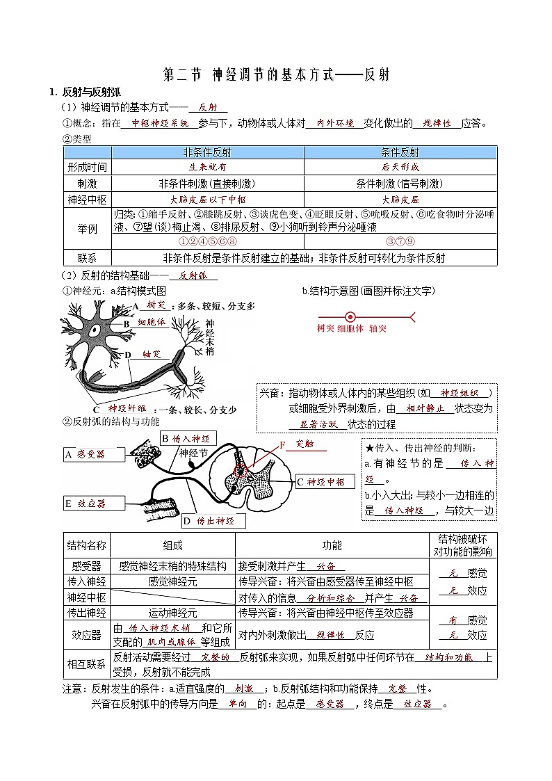 第2章 神经调节-【必背知识】2021-2022学年高二生物章节知识清单（背诵版）02