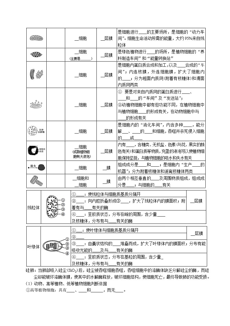 第3章 细胞的基本结构-【必背知识】2021-2022学年高一生物章节知识梳理（人教版2019必修1）（无答案）第3页