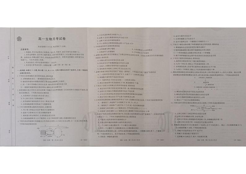 2023云南省高一下学期3月联考试题生物PDF版含解析01