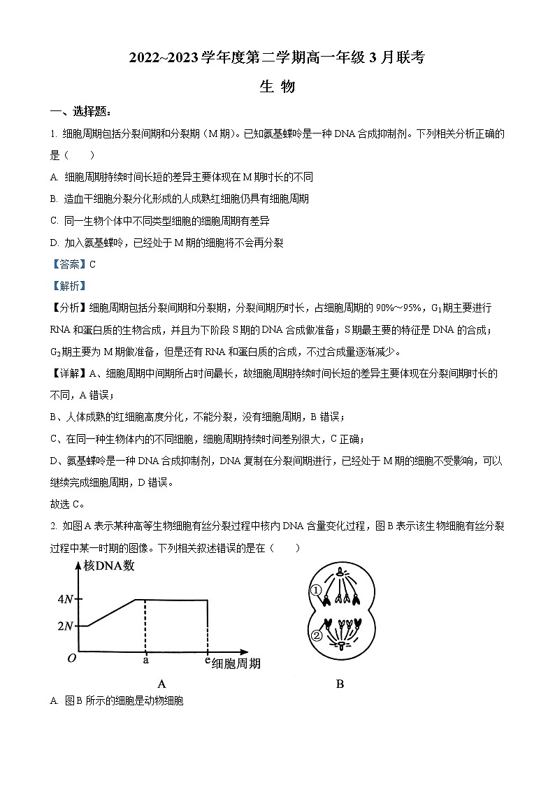 2023安徽省皖北县中联盟高一下学期3月联考生物试题含解析01