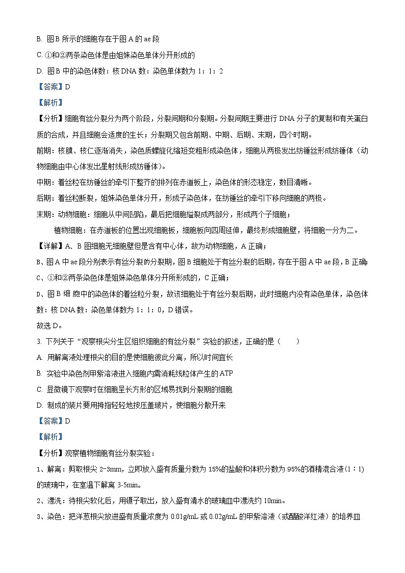 2023安徽省皖北县中联盟高一下学期3月联考生物试题含解析02