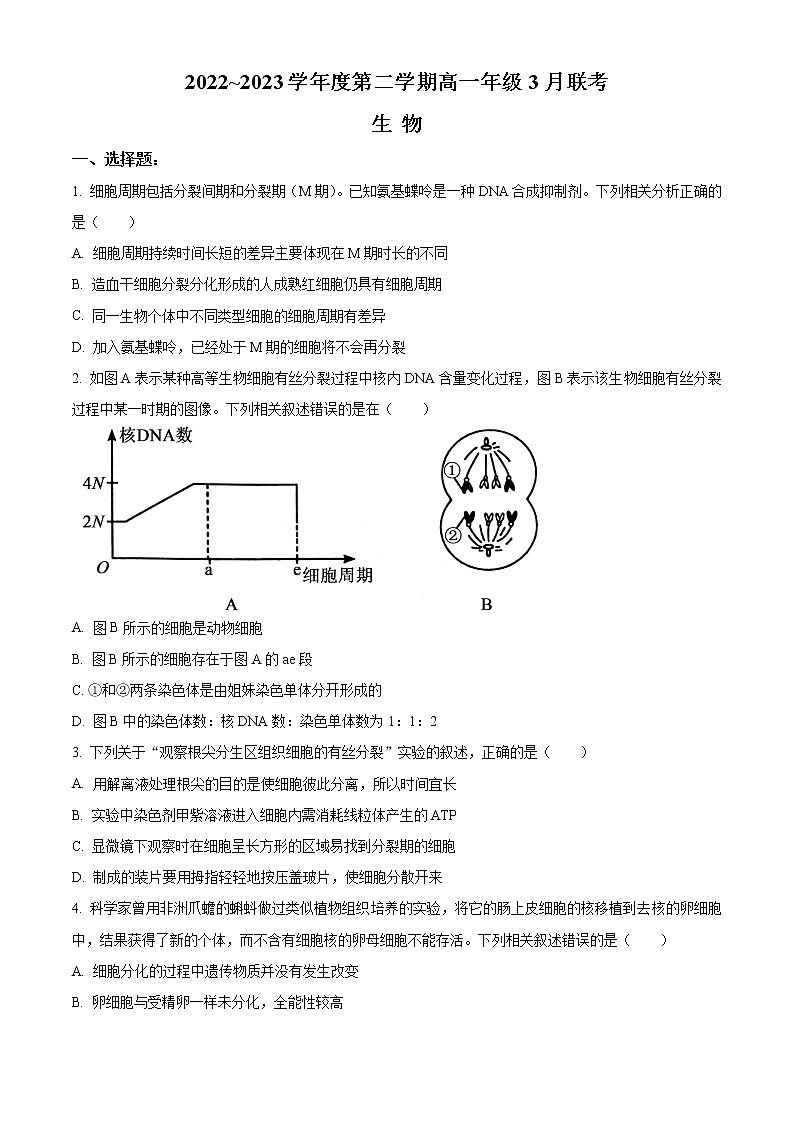 2023安徽省皖北县中联盟高一下学期3月联考生物试题含解析01