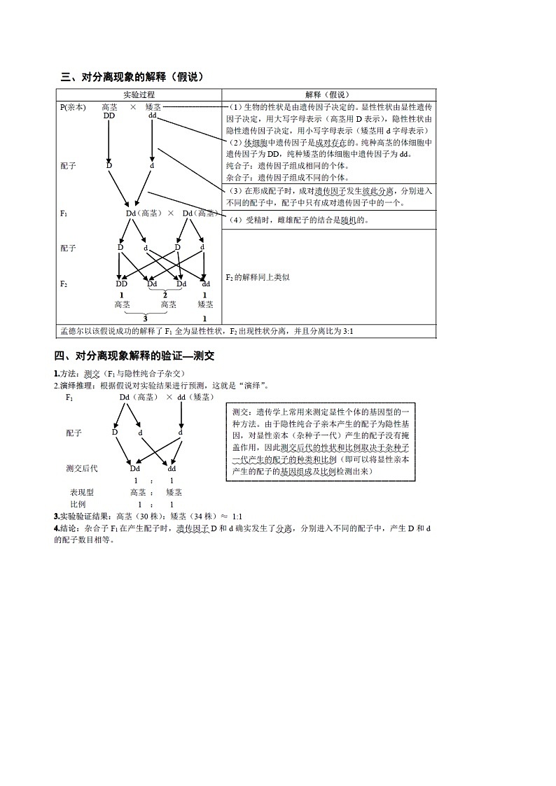 高考生物一轮复习必背  知识清单11  孟德尔遗传定律（一）03