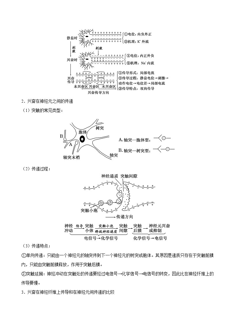 知识清单21++神经调节第2页