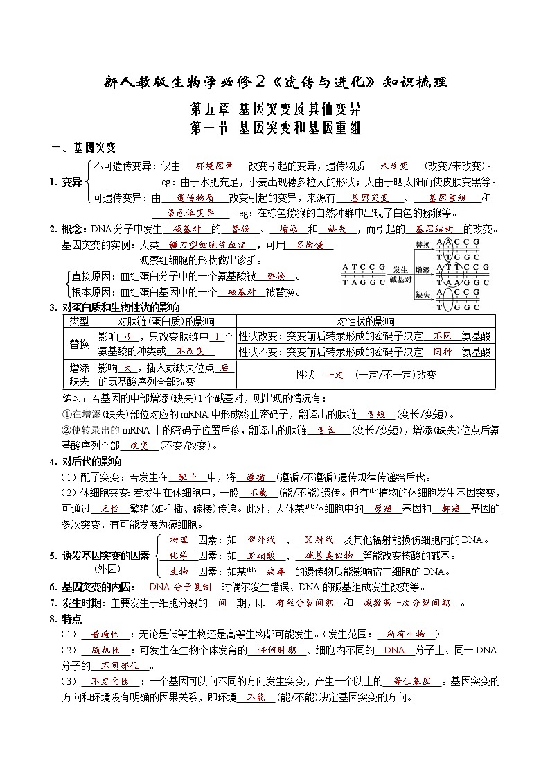 第五章 基因突变及其他变异-【必背知识】2021-2022学年高一生物章节知识清单（（人教版2019必修2）（含答案）第1页