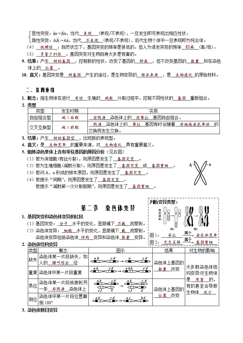 第五章 基因突变及其他变异-【必背知识】2021-2022学年高一生物章节知识清单（（人教版2019必修2）（含答案）第2页