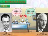 3.2DNA的结构课件PPT