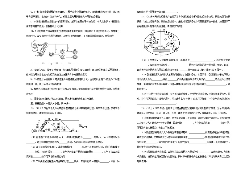 高中生物选择性必修一   第三单元免疫调节达标检测卷 B卷 （无答案）03