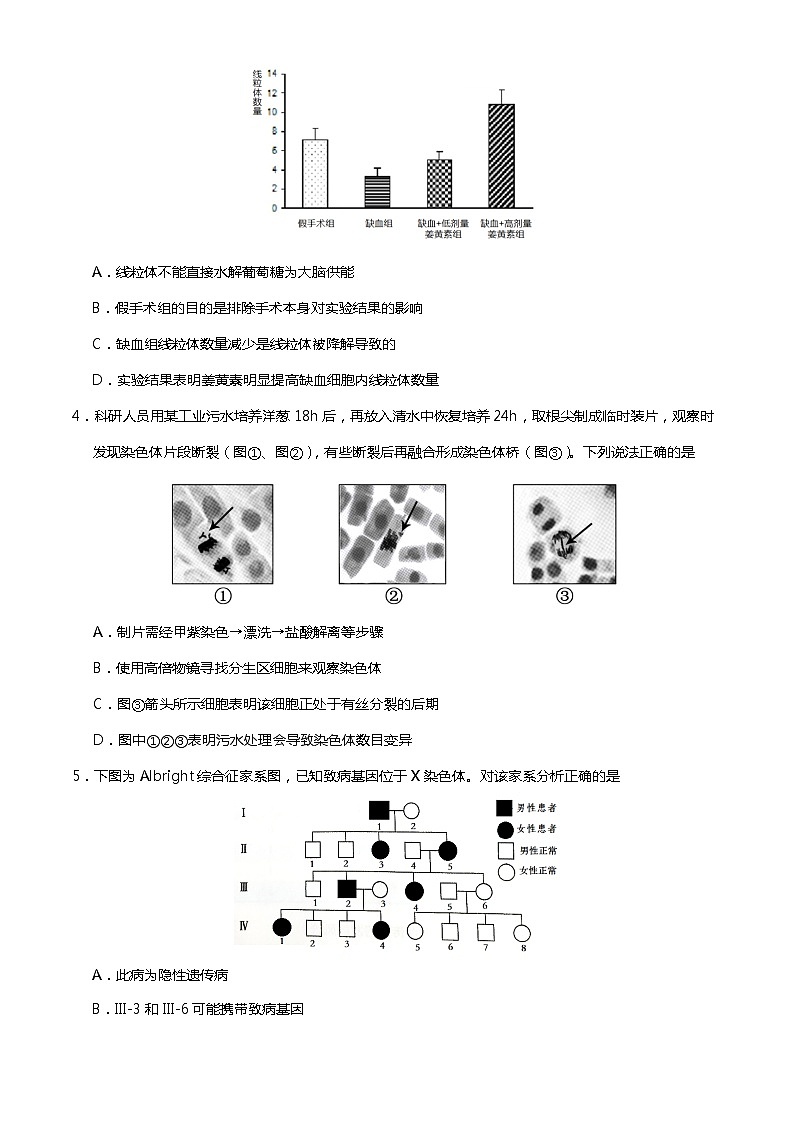 2023届北京市房山区高三一模生物试题(含答案)02
