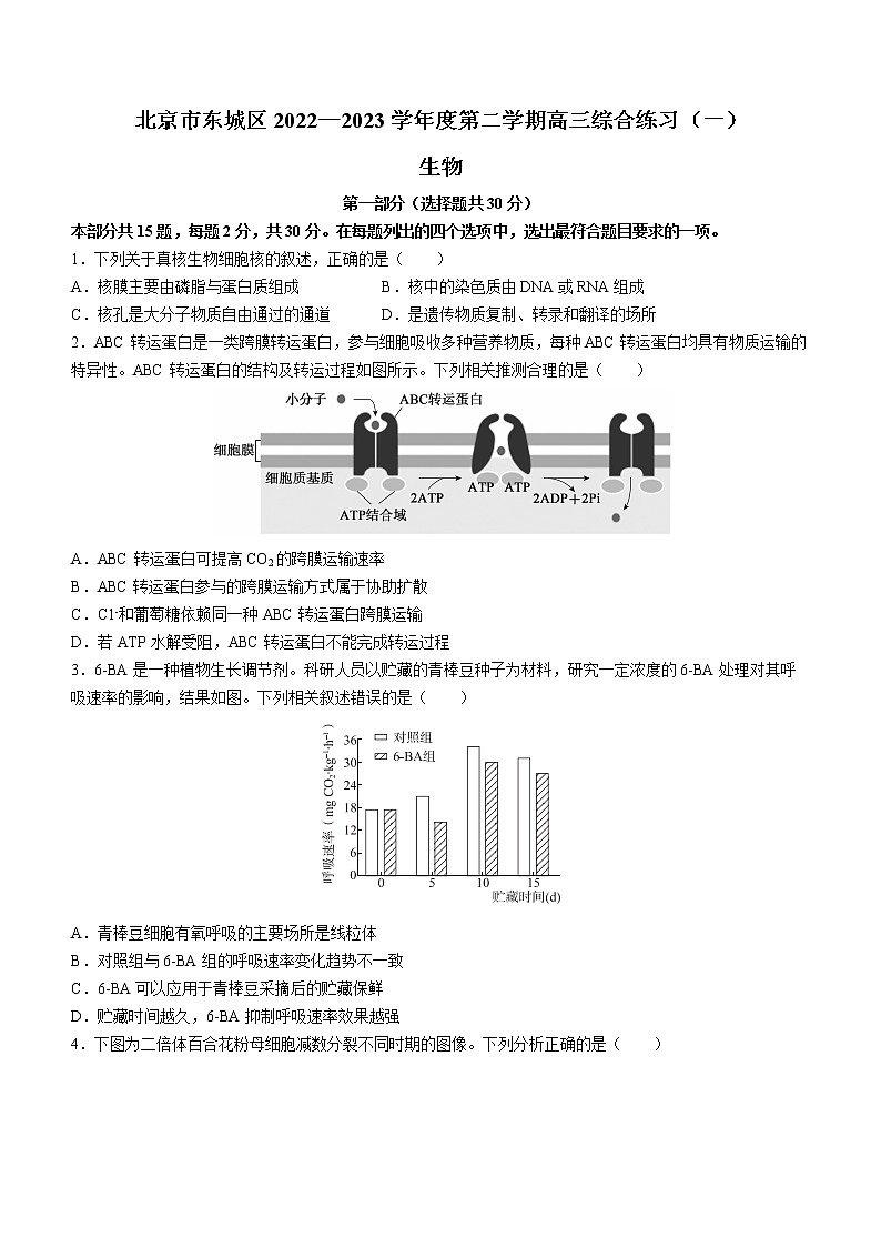 北京市东城区2022-2023学年高三下学期综合练习（一）生物试题(含答案)01