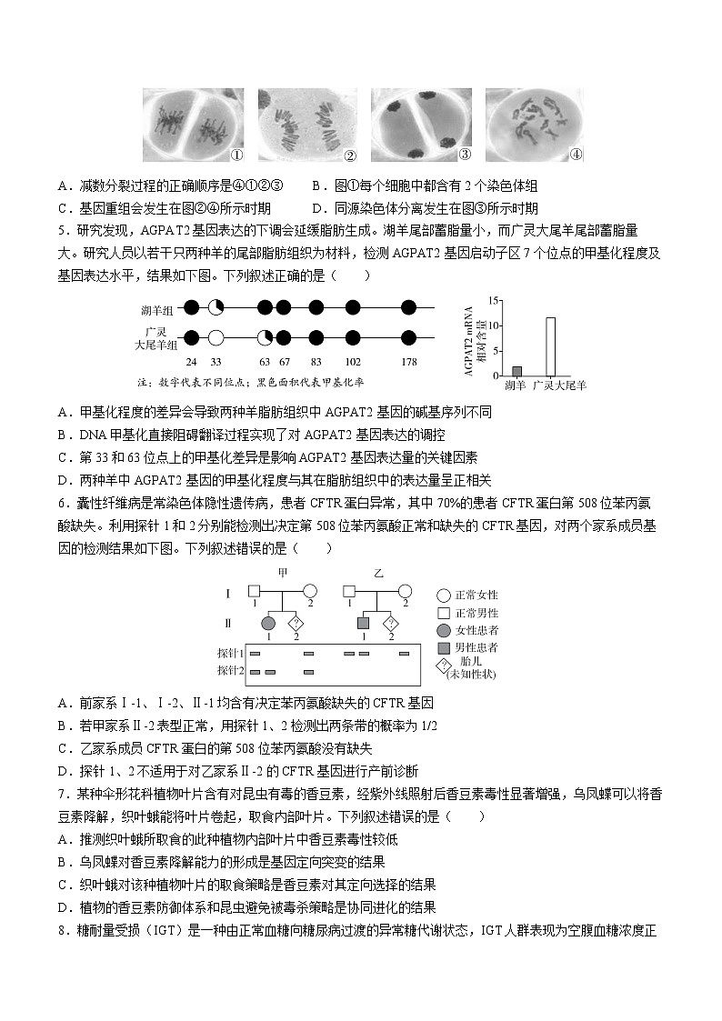 北京市东城区2022-2023学年高三下学期综合练习（一）生物试题(含答案)02