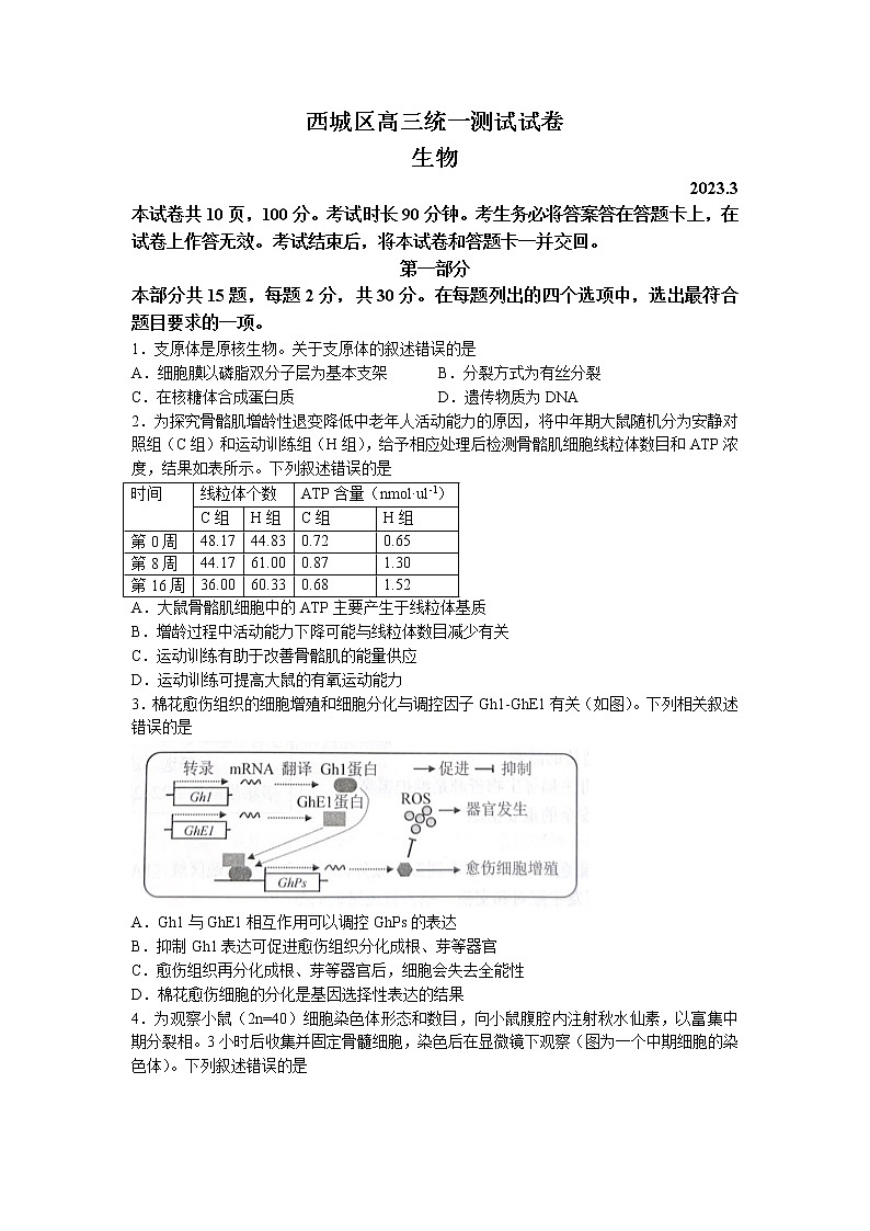 北京市西城区2023届高三下学期一模试题 生物 Word版含答案第1页