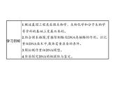 高中生物选择性必修三  第3章　第1节　重组DNA技术的基本工具课件PPT