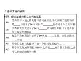 高中生物选择性必修三  第3章　第1节　重组DNA技术的基本工具课件PPT
