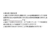 高中生物选择性必修三  第3章　第4节　蛋白质工程的原理和应用课件PPT