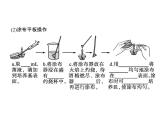高中生物选择性必修三  第1章　第2节　二　微生物的选择培养和计数课件PPT