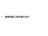 高中生物选择性必修三  第2章　第1节　一　植物细胞工程的基本技术课件PPT