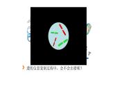 5.1基因突变和基因重组第1课时课件
