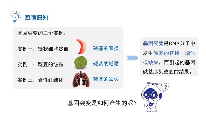 5.1基因突变和基因重组第2课时课件第2页