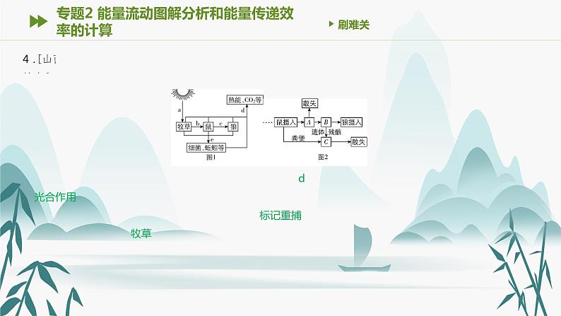 第3章 生态系统及其稳定性 专题2 能量流动图解分析和能量传递效率的计算课件PPT第5页