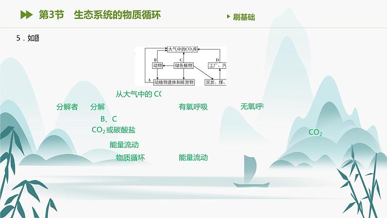 第3章 生态系统及其稳定性 第3节　生态系统的物质循环课件PPT第6页