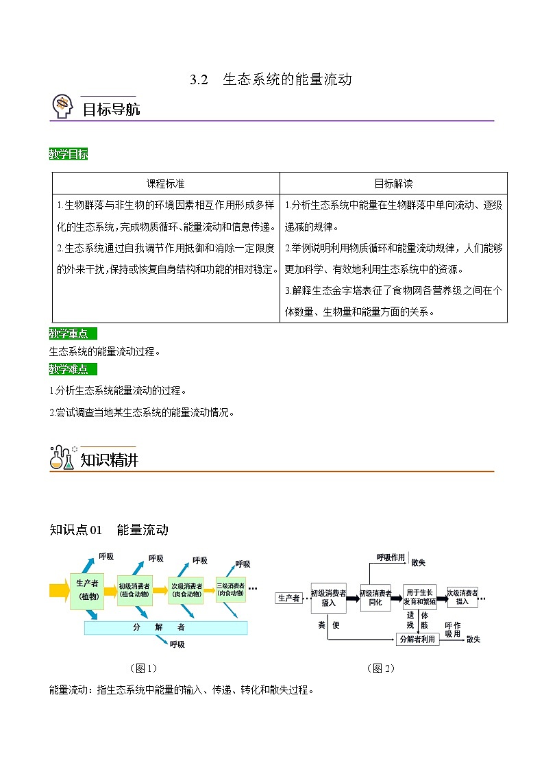 3.2 生态系统的能量流动（学生版）-高二生物同步精品讲义（人教版2019选择性必修2）01