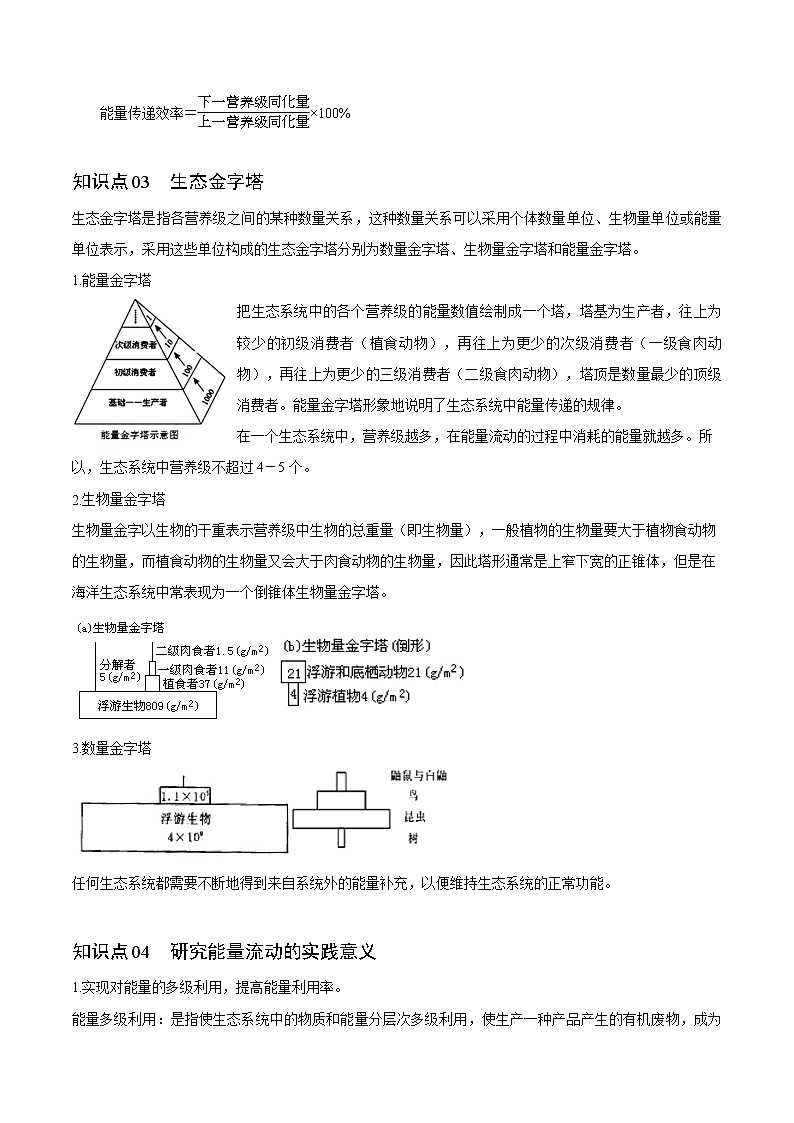 3.2 生态系统的能量流动（学生版）-高二生物同步精品讲义（人教版2019选择性必修2）03