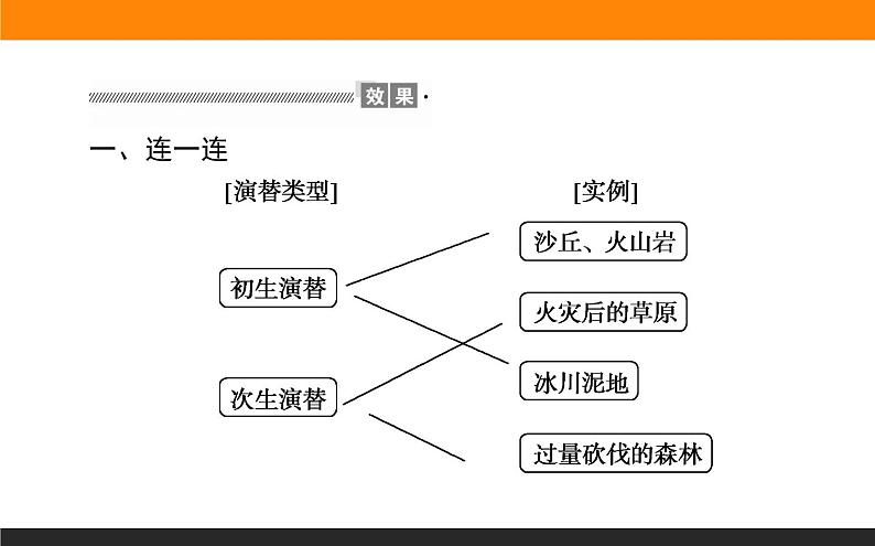 2.3群落的演替课件PPT08