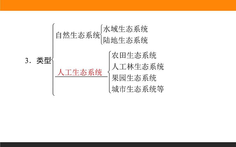 3.1生态系统的结构课件PPT第3页