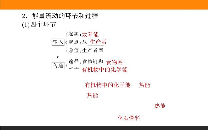 3.2生态系统的能量流动课件PPT第3页