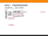 4.2生物多样性及其保护课件PPT