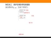 4.2生物多样性及其保护课件PPT