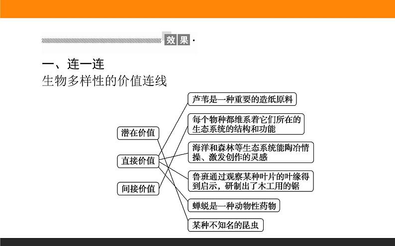 4.2生物多样性及其保护课件PPT第6页
