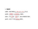 第三章 第三节 生态系统的物质循环课件PPT