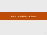 高中生物选择性必修一   第2章　第3节　神经冲动的产生和传导课件PPT