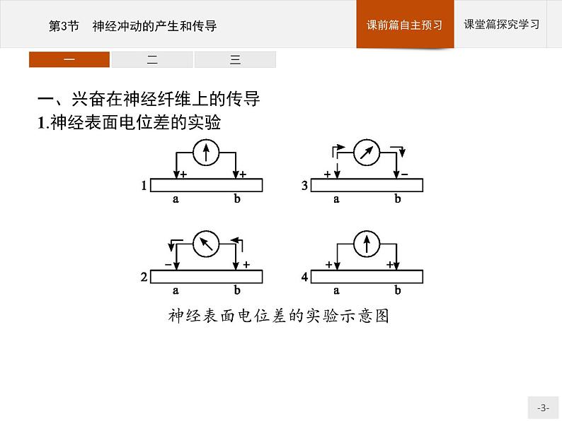 高中生物选择性必修一   第2章　第3节　神经冲动的产生和传导课件PPT第3页
