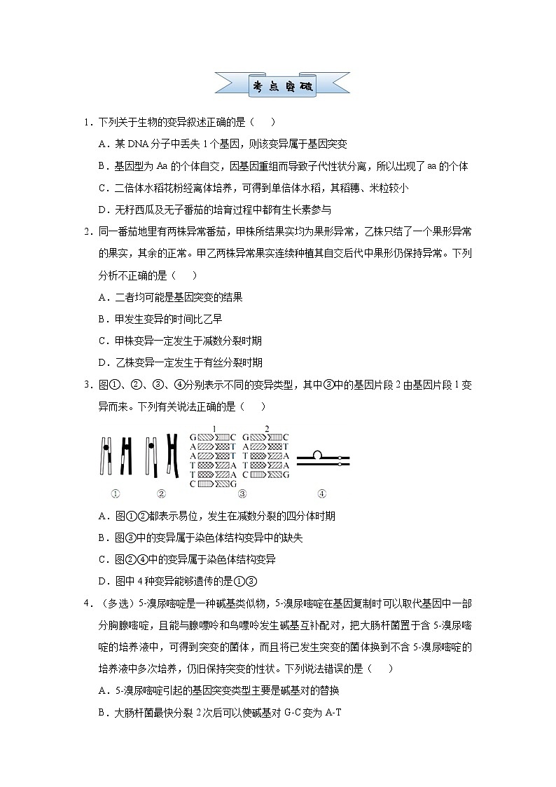 高中生物高考  2021届小题必练14 生物的变异及育种  生物的进化 学生版第2页