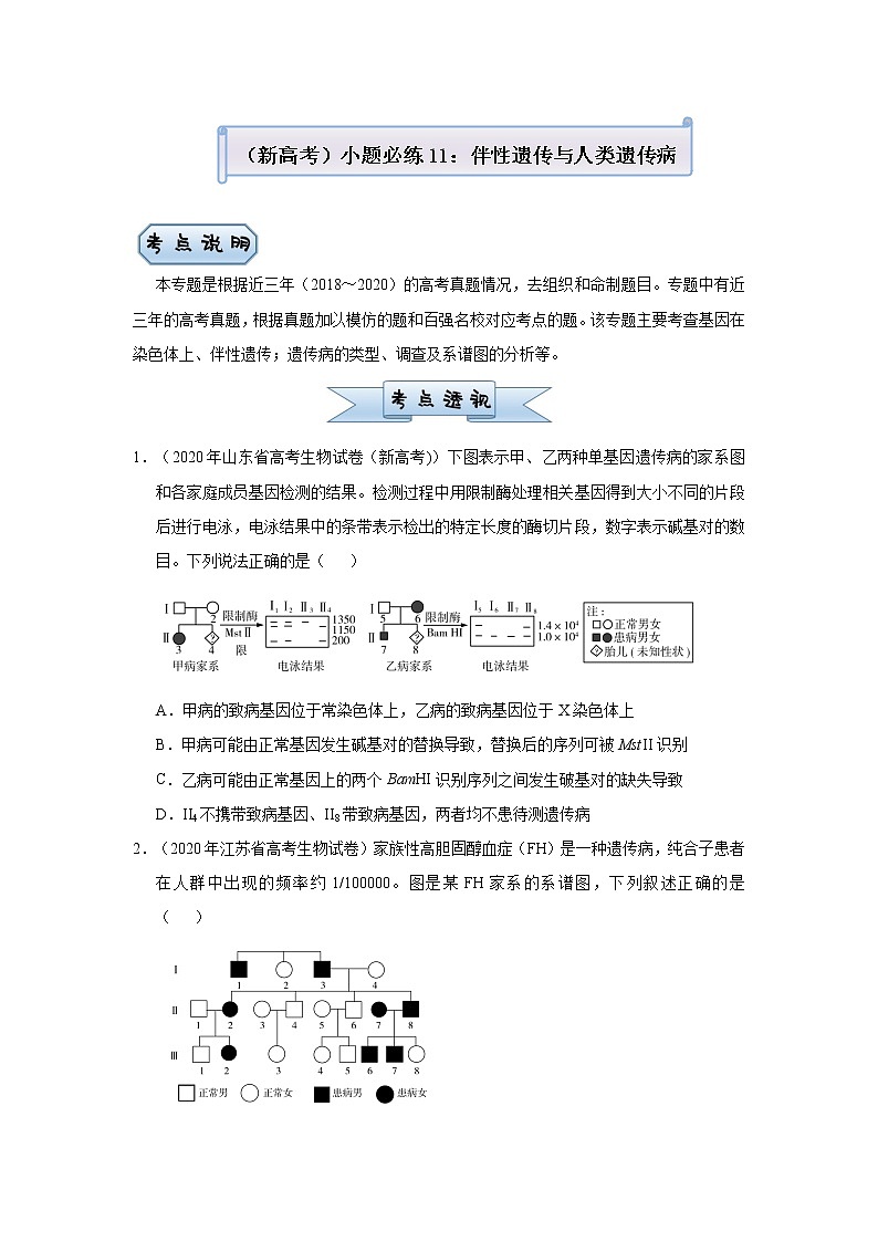 高中生物高考  2021届小题必练11 伴性遗传与人类遗传病 学生版第1页
