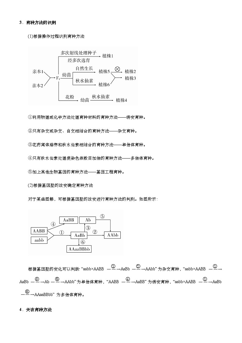 高中生物高考 2021届高考二轮精品专题七 生物的变异、育种和进化 学生版第3页