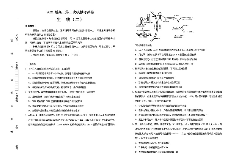 高中生物高考 2021届高三第二次模拟考试卷 生物（二） 学生版第1页