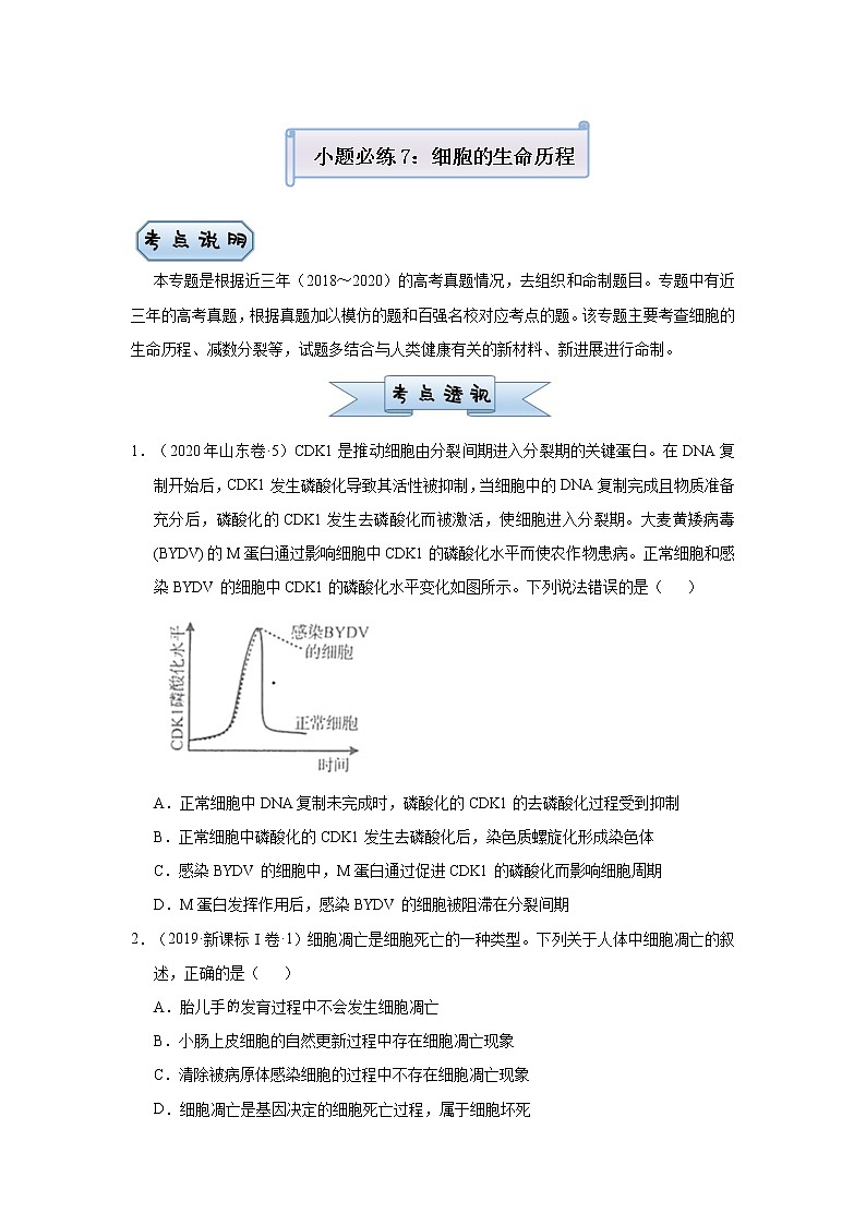 高中生物高考 2021届小题必练7  细胞的生命历程 学生版01