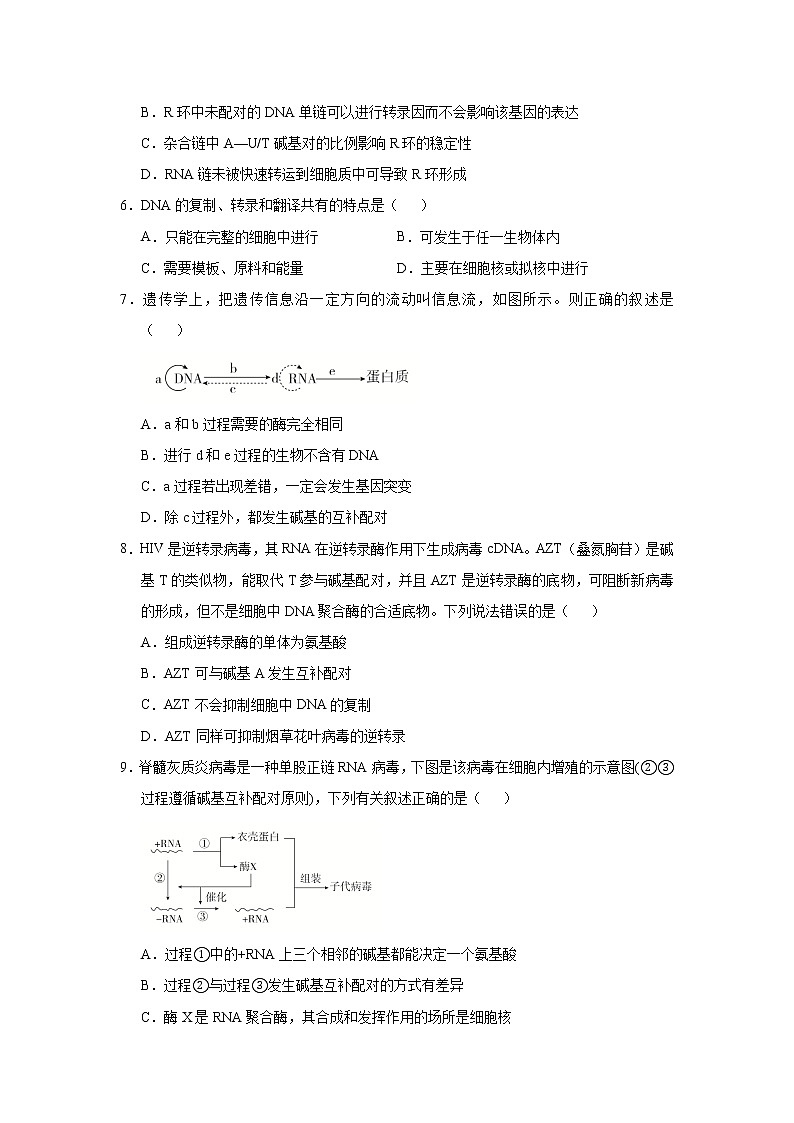 高中生物高考 2021届小题必练13  遗传信息的表达 学生版第3页