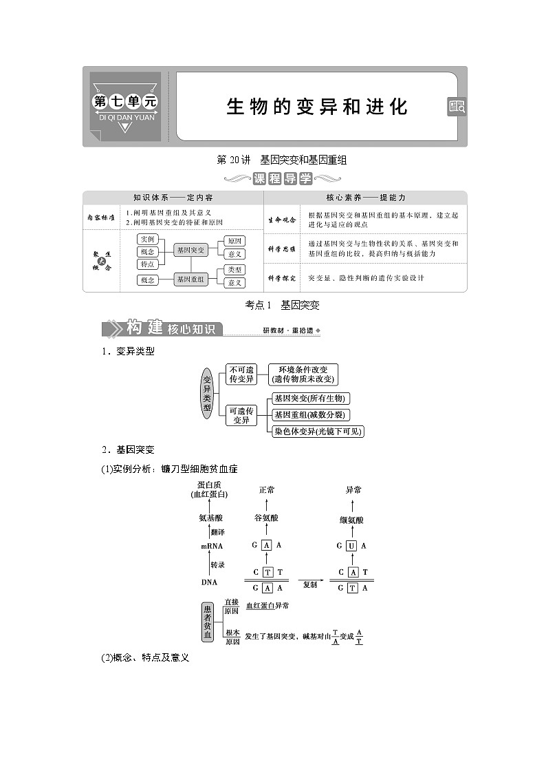 高中生物高考1 第20讲　基因突变和基因重组 试卷01
