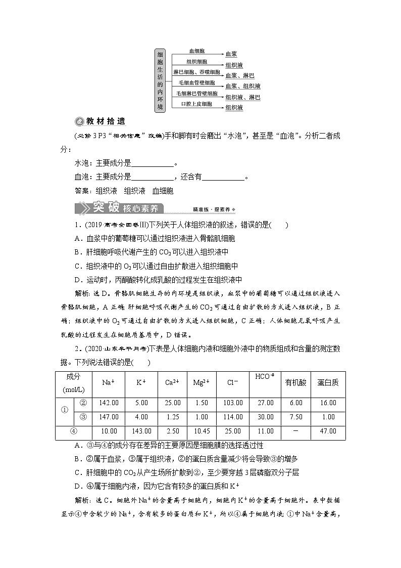 高中生物高考1 第23讲　人体的内环境与稳态第2页