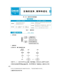 高中生物高考1　第七单元　第20讲　基因突变和基因重组