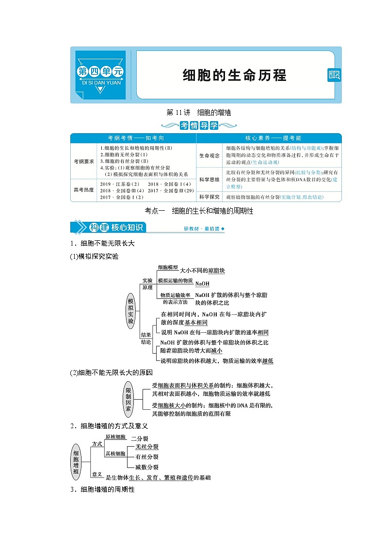 高中生物高考1　第四单元　第11讲　细胞的增殖第1页