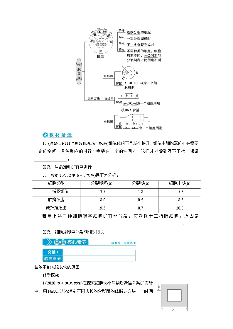 高中生物高考1　第四单元　第11讲　细胞的增殖 试卷02