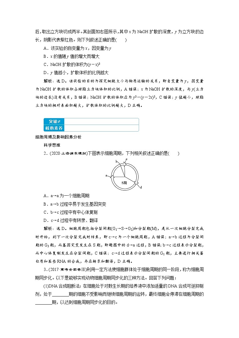 高中生物高考1　第四单元　第11讲　细胞的增殖第3页