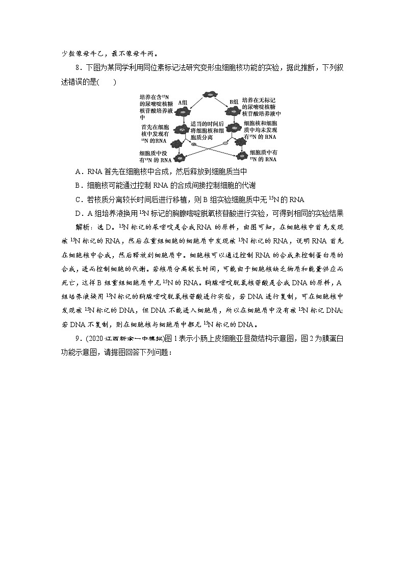 高中生物高考2 第4讲　高效作业知能提升第3页