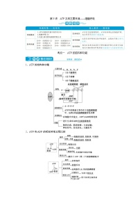 高中生物高考3　第三单元　第9讲　ATP及其主要来源——细胞呼吸